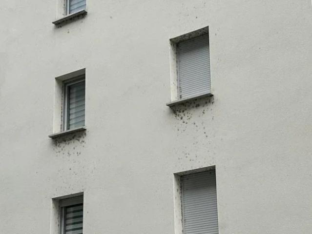 Location Appartement Avenue de Muret, Toulouse