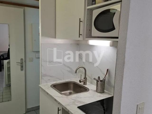 Location Appartement Avenue de Vizille, Grenoble