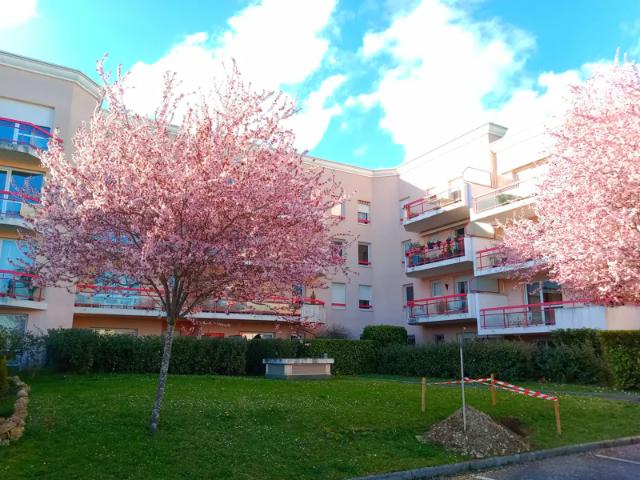 Location Appartement Avenue Franklin Delano Roosevelt, Dijon