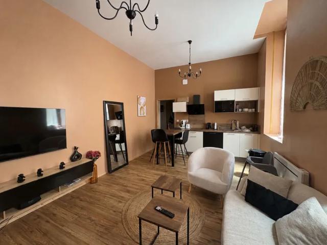 Location Appartement Avenue Henri Fabre, Carcassonne