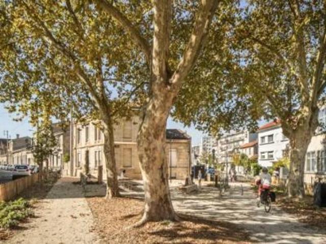 location appartement bordeaux 1 pièce 16 m2 gironde 33000 450 € / mois
