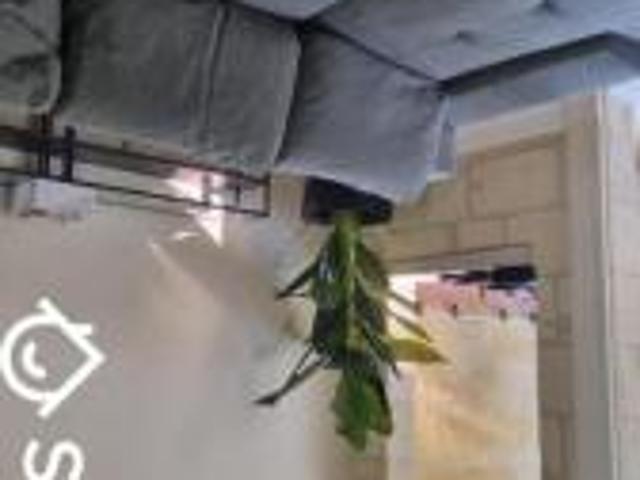 location appartement bordeaux 1 pièce 11 m2 gironde 33800 650 € / mois