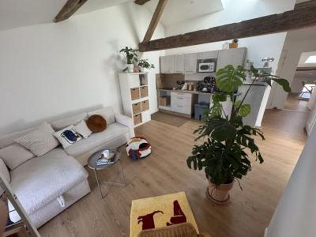 location appartement centre ville 3 pièces 46 m2 tarn 81120 600 €