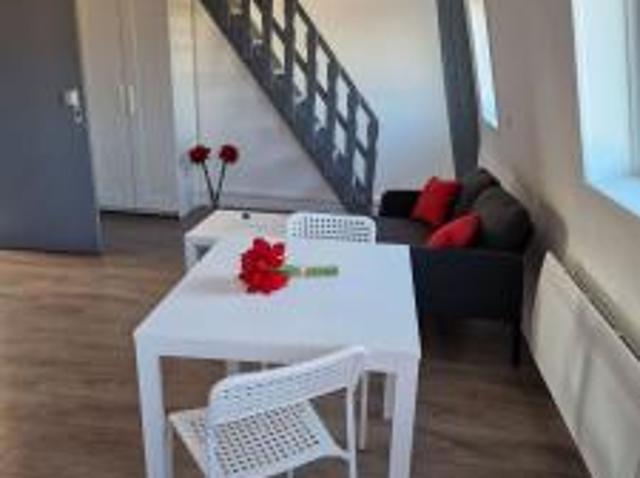 location appartement centre ville 1 pièce 20 m2 nord 59280 550 €