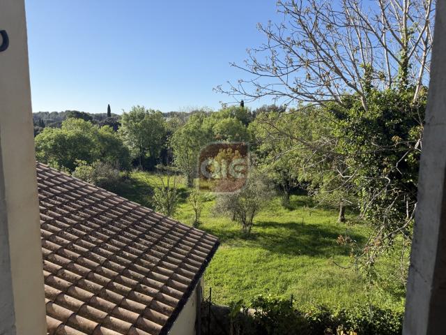 Location Appartement Chemin de Cantamerle, Assas
