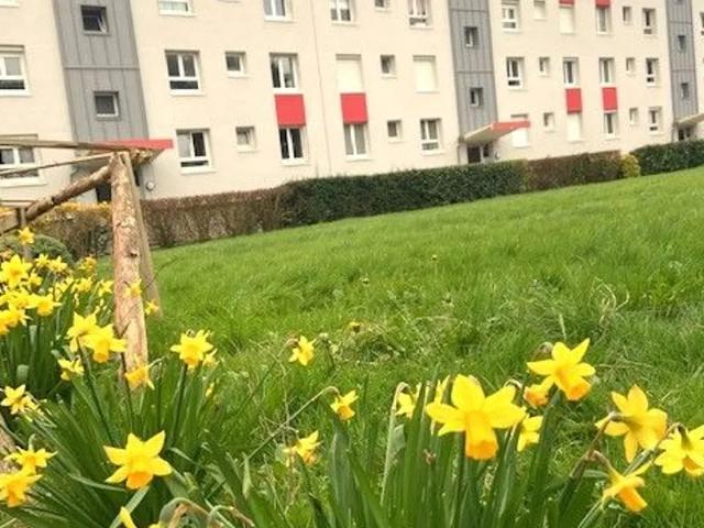 Location Appartement Chemin de la Forêt Verte, Bois Guillaume