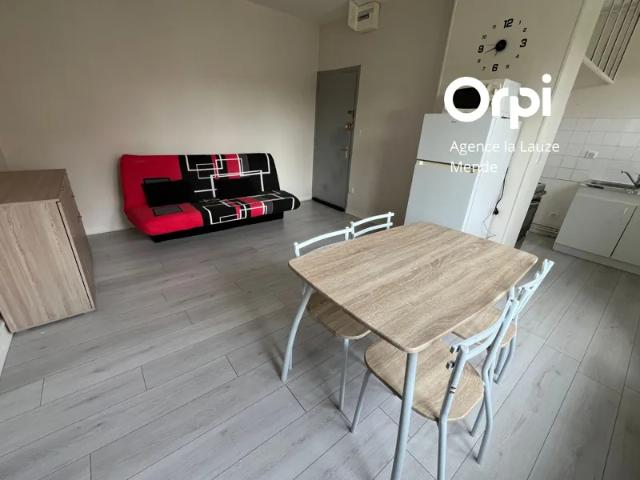 Location Appartement Chemin de Séjalan, Mende