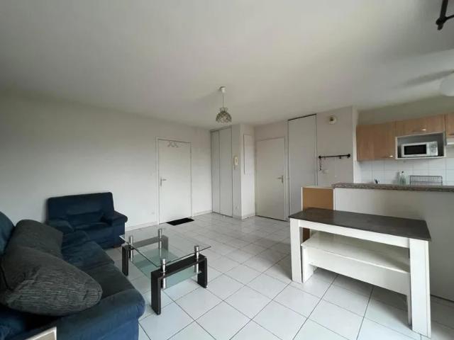 Location Appartement Chemin de Palique, Castres