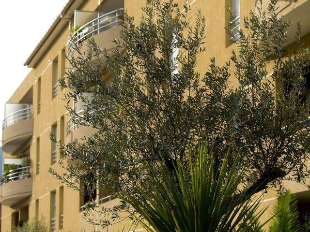 Location Appartement Chemin de Rimiez, Saint André de la Roche