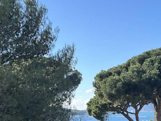 Location Appartement Chemin du Jonquet, Toulon