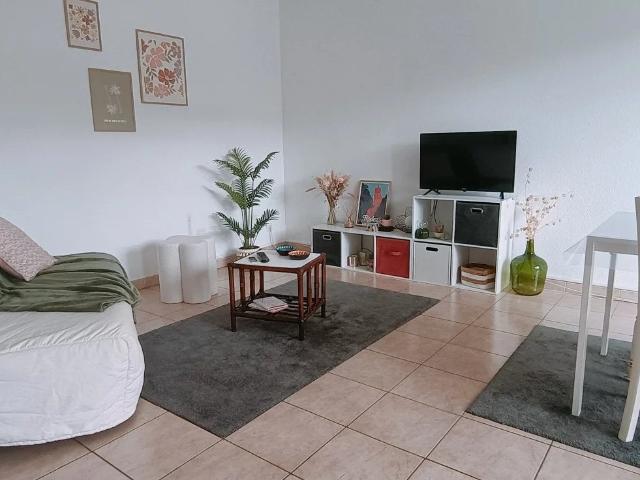 Location Appartement Chemin du Mas de Tronquet, Albi