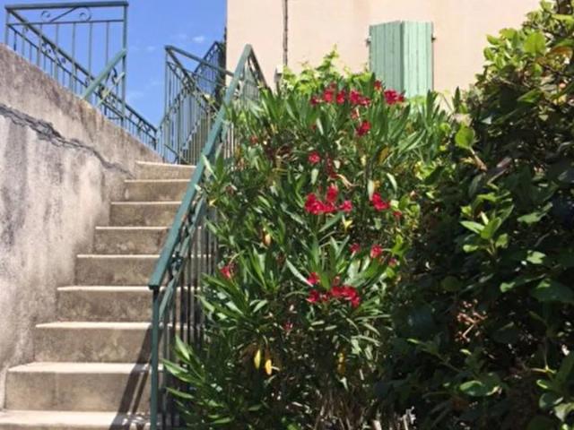 Location Appartement Chemin Neuf, Vacqueyras