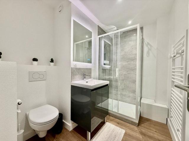 Location Appartement Chemin Pouciquot, Ramonville Saint Agne