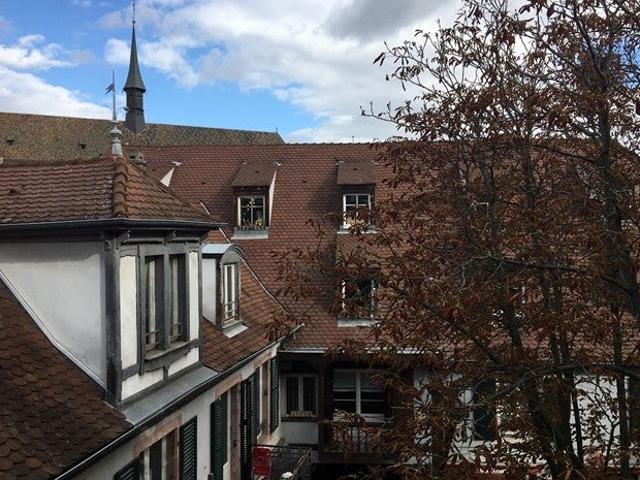 Location Appartement Cour Waldner Stephan, Colmar