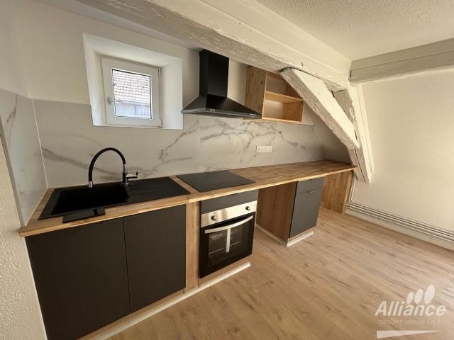 Location Appartement entièrement rénové – Quartier du Vieux Delle | Alliance Groupe Immobilier