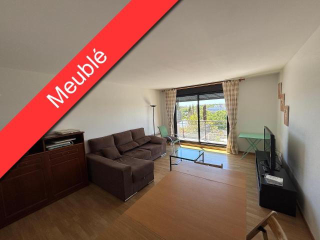 Location Appartement Esplanade Compans Caffarelli, Toulouse