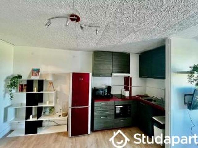 location appartement grande motte mauguio 1 pièce 24 m2 herault 34280 600 € / mois