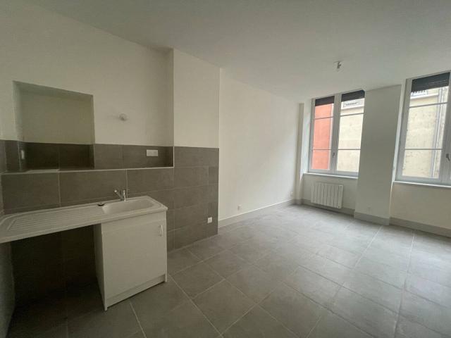 Location Appartement Grande Rue de Saint Clair, Caluire et Cuire