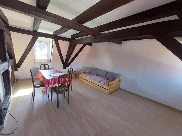 Location Appartement Impasse Fleckenstein, Haguenau
