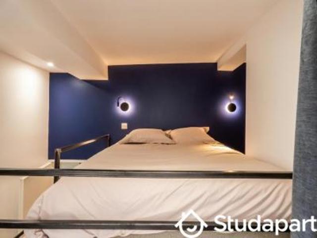 location appartement lyon 1er arrondissement 1 pièce 9 m2 rhone 69001 618 € / mois