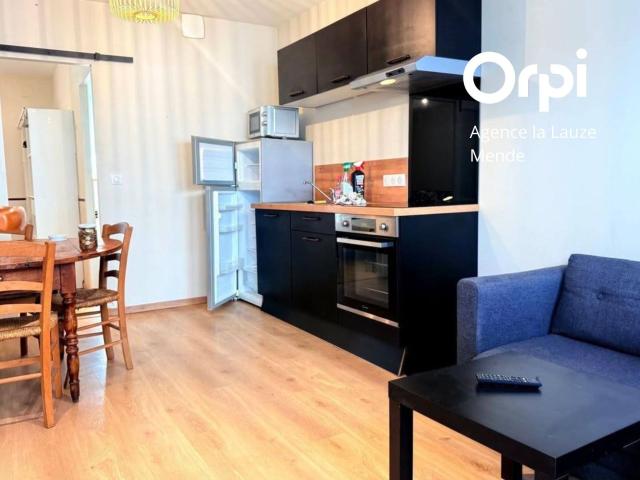 Location appartement, m² T 1 à Saint Chély d'Apcher, 420 €