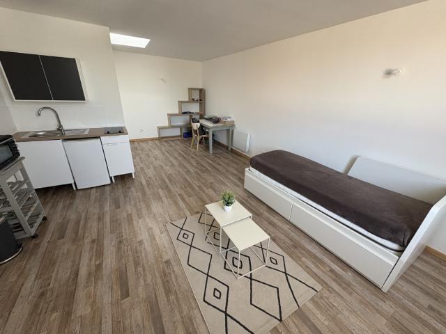 location appartement meublé à lille