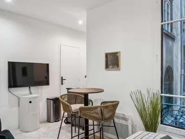 Location Appartement Meublé Studio 21m² Cordeliers Célestins Bourse Lyon