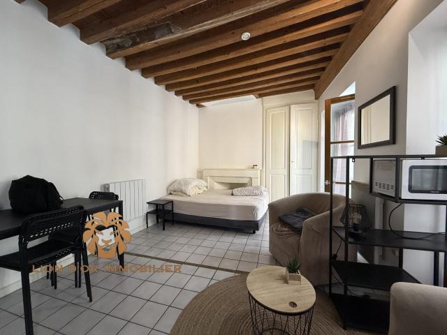 Location Appartement Montée des Carmélites, Lyon