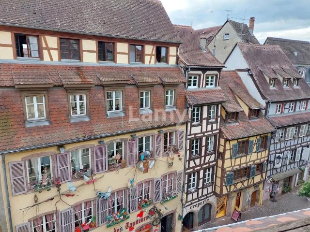 Location Appartement Petite Rue des Tanneurs, Colmar