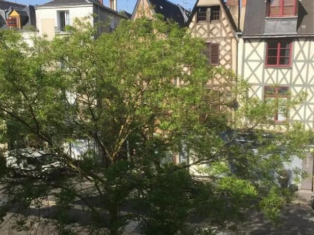 Location Appartement Place du Grand Marché, Tours