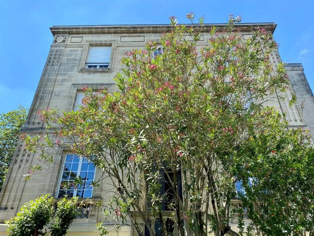 Location Appartement Place Johnston, Bordeaux