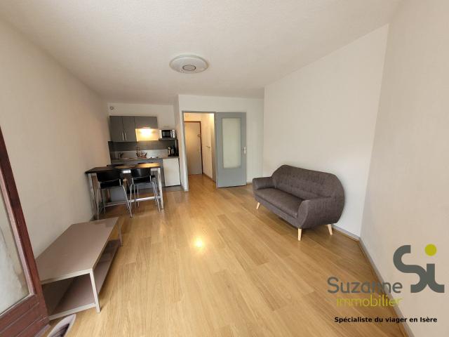 Location Appartement Quai Claude Bernard, Grenoble