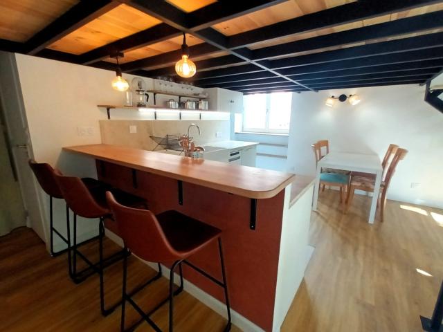 Location Appartement Voie Verte des Berges du Rhône, Lyon