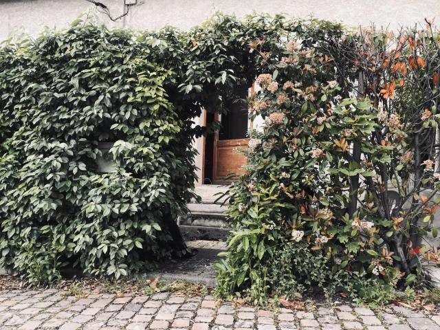 Location Appartement Quai Clemenceau, Caluire et Cuire