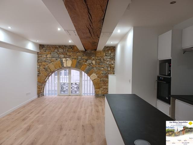 Location Appartement Quai du Docteur Gailleton, Lyon