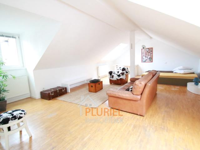 Location Appartement Quai des Bateliers, Strasbourg
