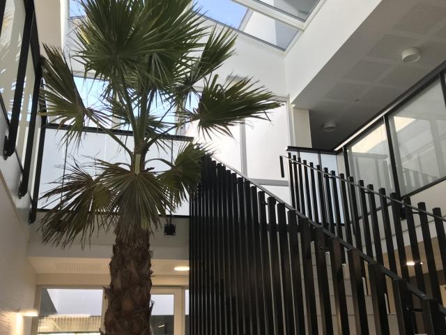 Location Appartement Quai Saint Pierre, Toulouse