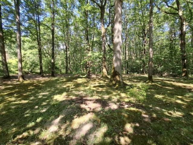 Location Appartement Route de la Brosse, Chevreuse