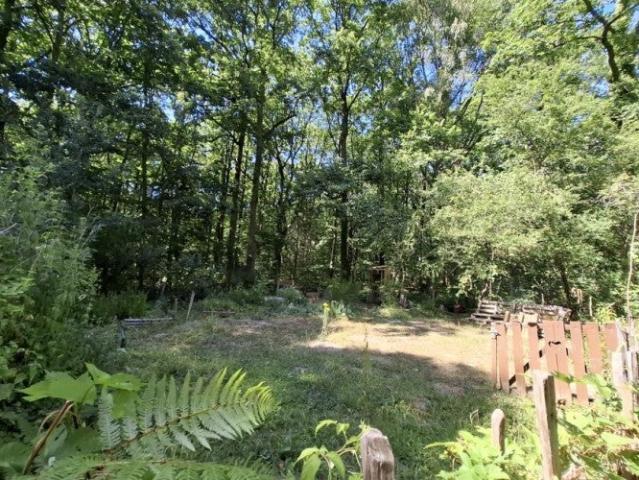 Location Appartement Route de la Brosse, Chevreuse