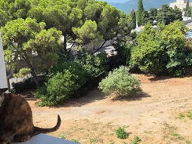 Location Appartement Route Royale, Bastia