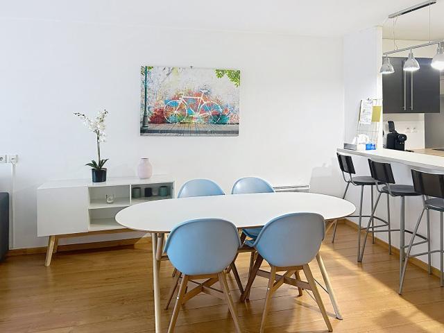 Location Appartement Rue Camille Lenoir, Reims