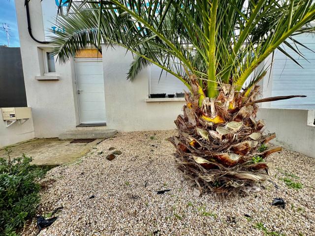 Location Appartement Rue Chaptal, Saint Brieuc