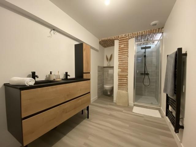 Location Appartement Rue Chevreul, Toulouse