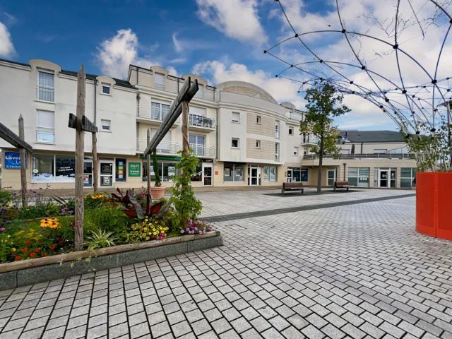 Location Appartement Rue Abbé Pasty, Fleury les Aubrais