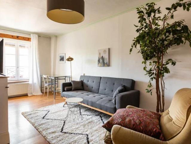Location Appartement Rue Adélaïde Perrin, Lyon