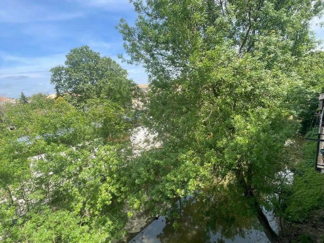 Location Appartement Rue Albert Devicq, Le Cailar