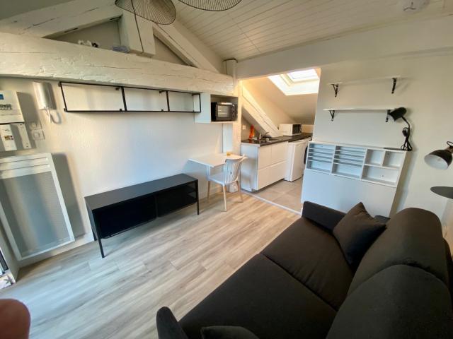 Location Appartement Rue Alexandre Falguière, Toulouse