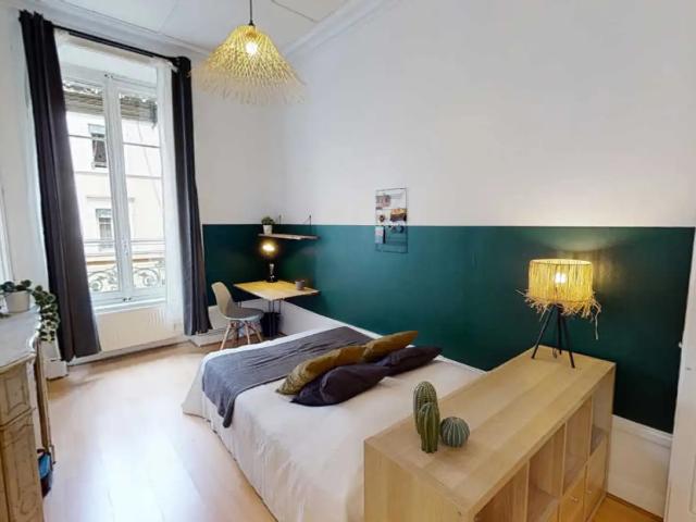 Location Appartement Rue Béchevelin, Lyon