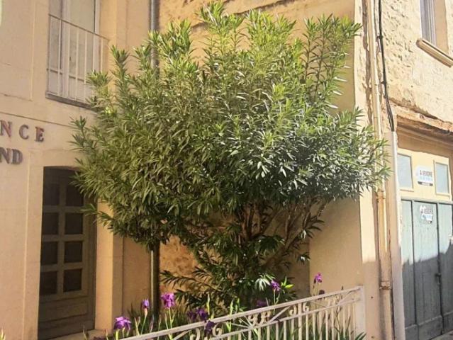 Location Appartement Rue Bertrand, Avignon