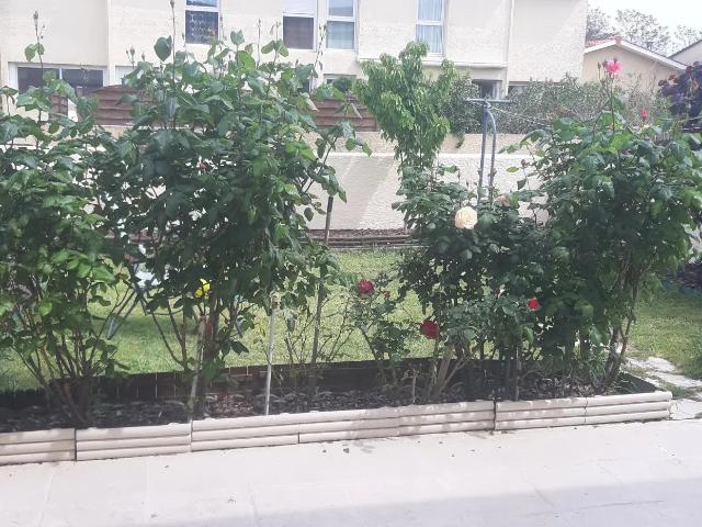 Location Appartement Rue Guadet, Saint Émilion